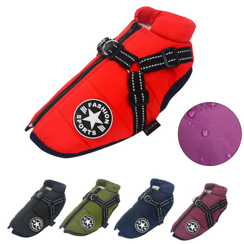 Pet Harness Jacket