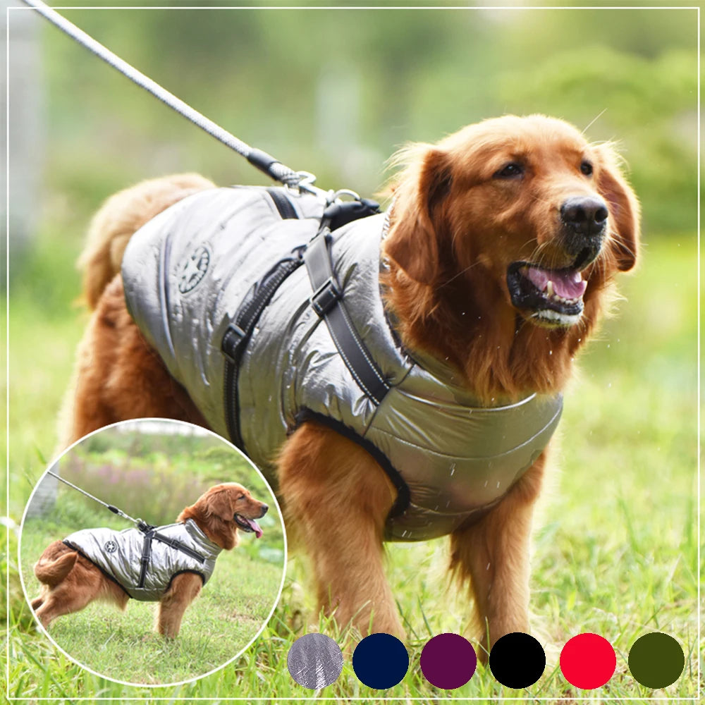 Pet Harness Jacket